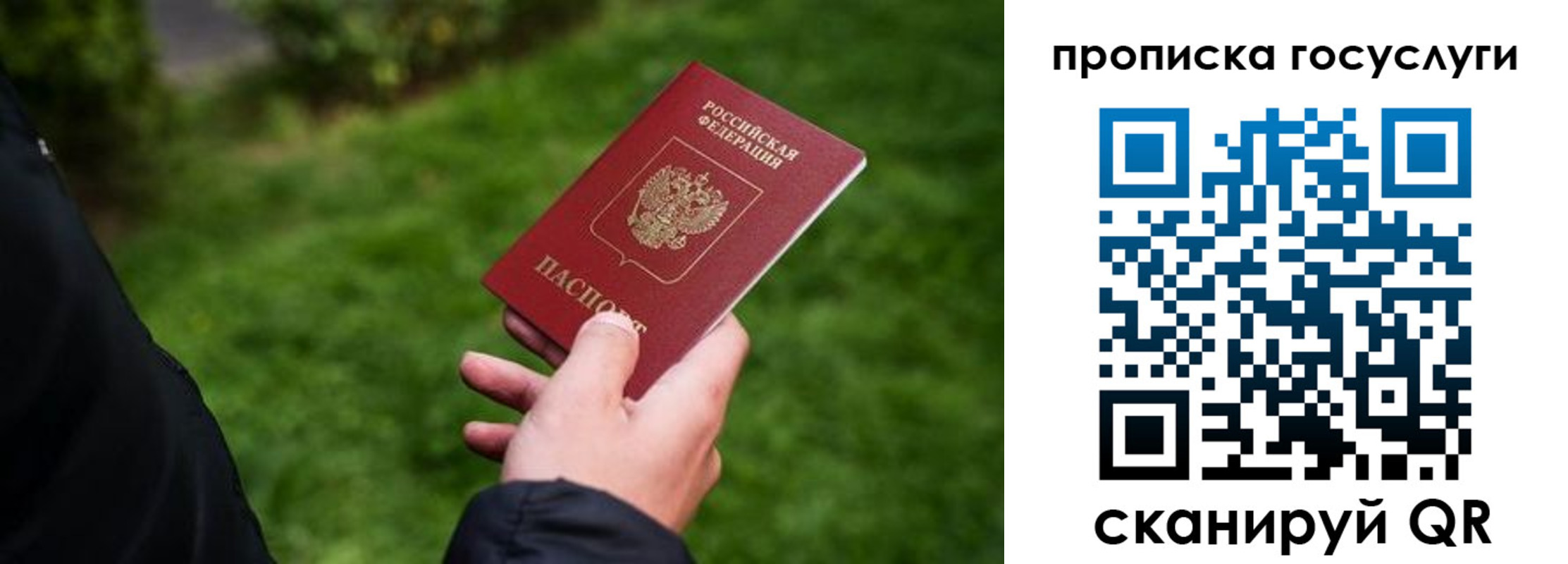 прописка для работы в Сочи